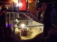 San Pedro Del Parana - Kermis (3)