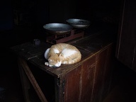 San Pedro Del Parana - Siesta