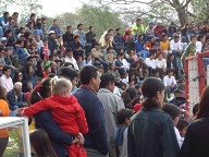 San Pedro Del Parana - Stierstoeien (5)