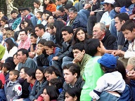 San Pedro Del Parana - Stierstoeien
