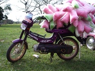 San Pedro Del Parana - Suikerspin Puch