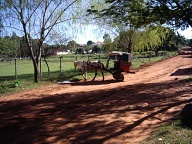 Villa Rica - Paardentaxi